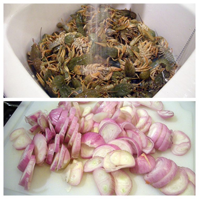 Ecrevisses à l'américaine La recette facile par Toqués 2 Cuisine