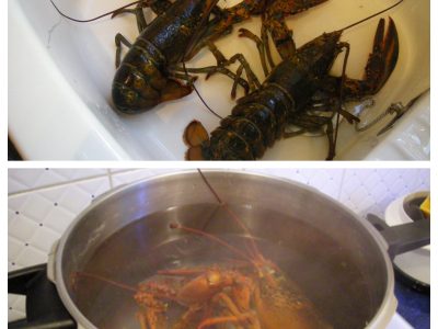 Homards à la Normande - 2