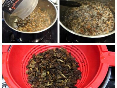 Farce aux morilles - 2