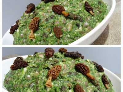 Farce aux morilles - 7