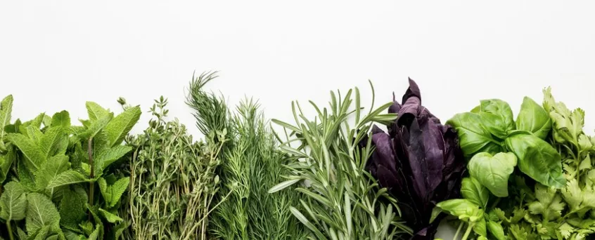 La cuisine minimaliste : moins d'ingrédients, plus de saveurs ! - 7