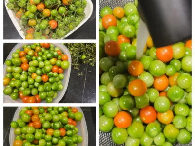 Pickles de tomates cerises - 2