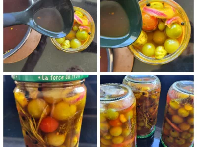 Pickles de tomates cerises - 7