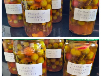 Pickles de tomates cerises - 8